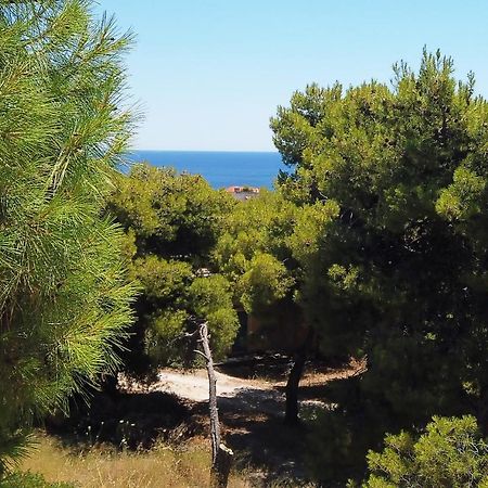 Fistiki Rooms Agia Marina  Exteriör bild